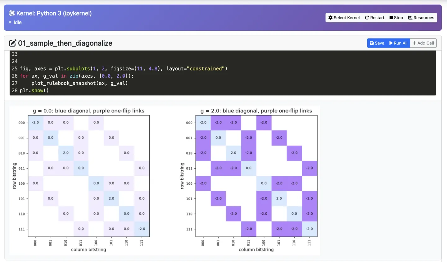 Quived embedded notebook showing executed Python code and two matrix visualizations